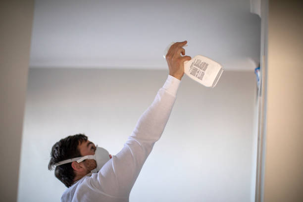 Best Residential Mold Removal  in Kemmerer, WY